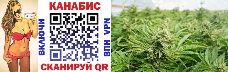 Купить закладки  Мурино  МАРИХУАНА сатива 